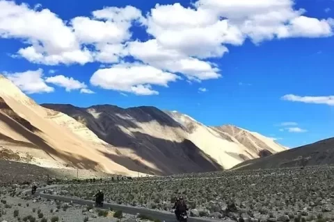 indian_online
